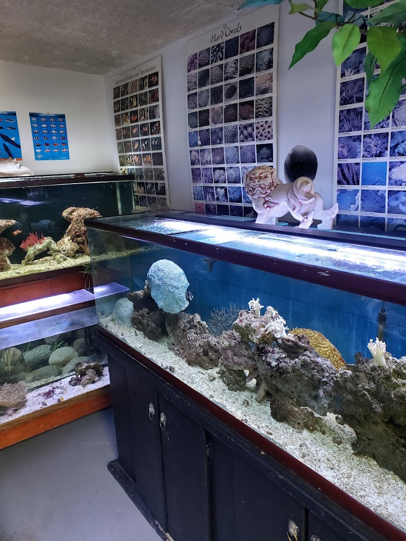 Tropical Treasures LLC - Photo 5