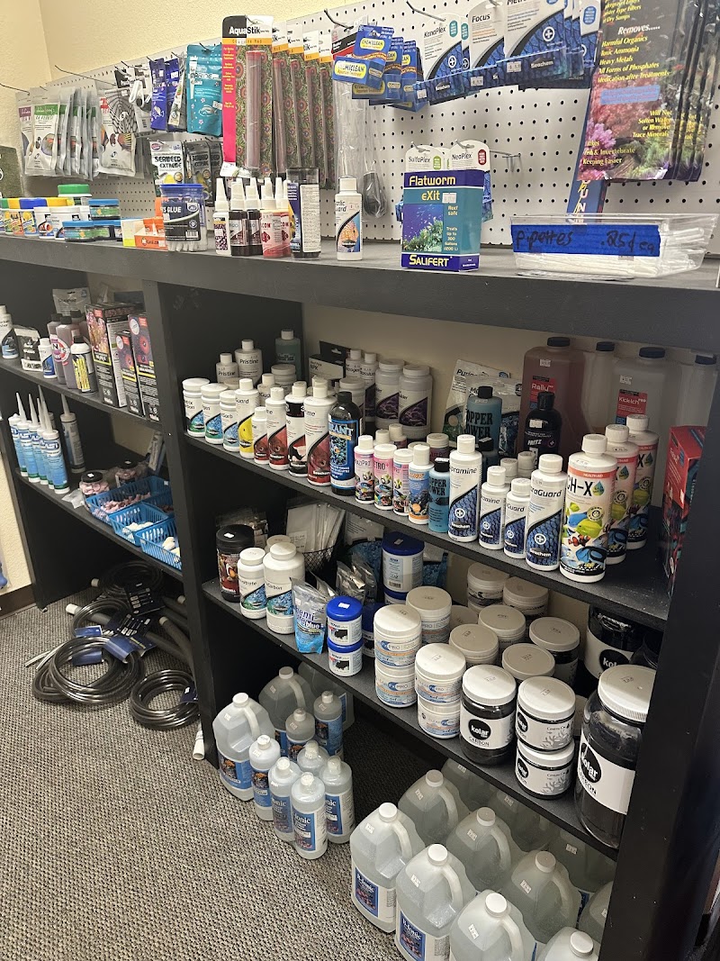 Reefkoi Corals LLC - Photo 2