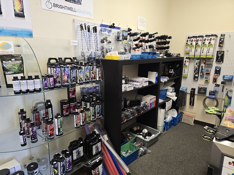 Reefkoi Corals LLC - Photo 5