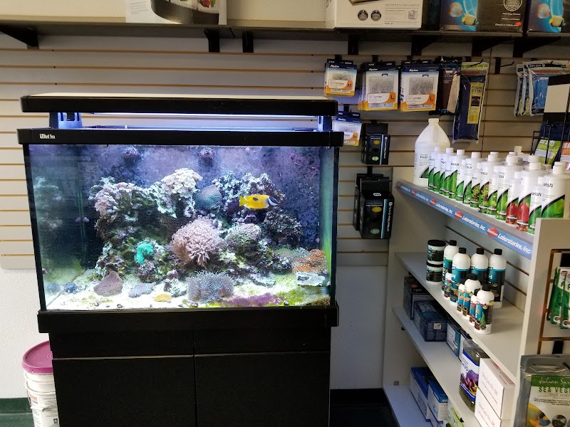 Seascape Aquatics - Photo 2