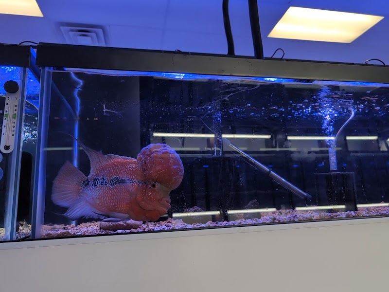 InsideReef - Photo 1