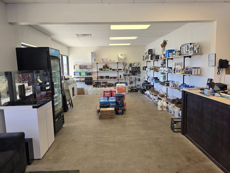 InsideReef - Photo 2