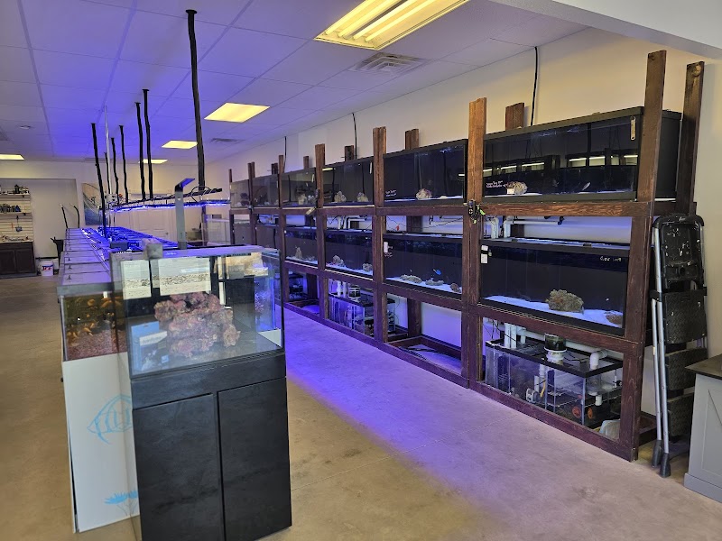 InsideReef - Photo 3