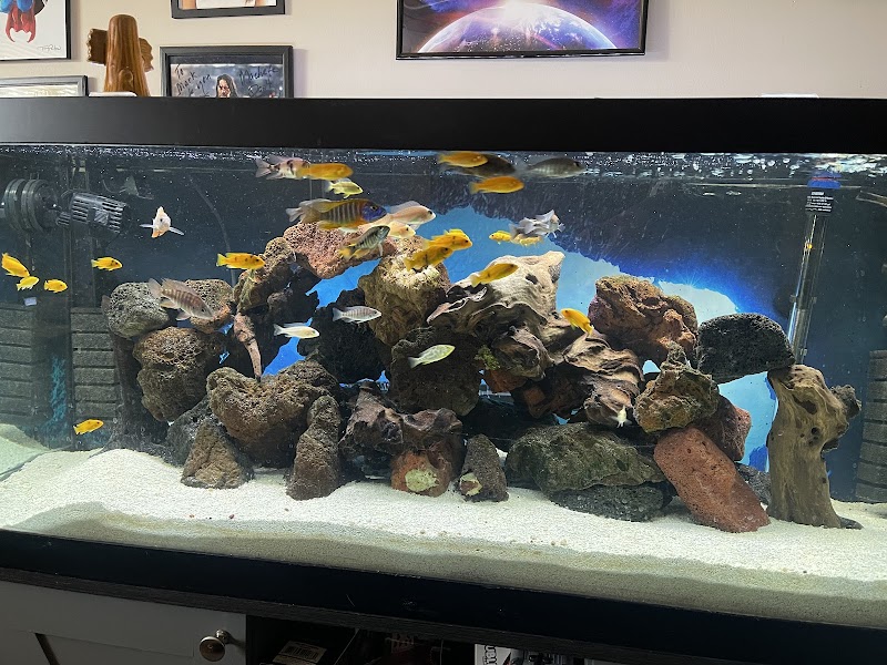 InsideReef - Photo 4