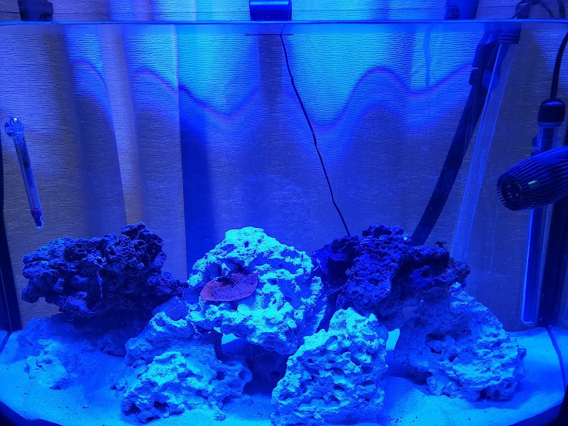 InsideReef - Photo 5