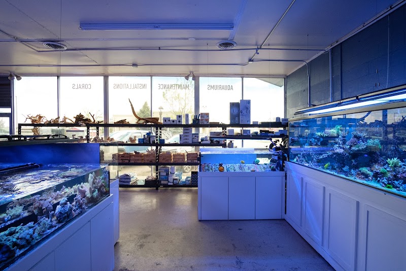 Underwater Wonders - Photo 1