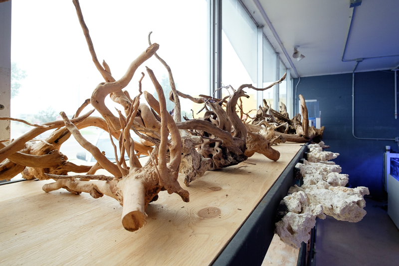 Underwater Wonders - Photo 3