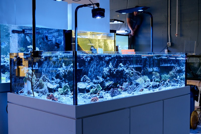 Underwater Wonders - Photo 4