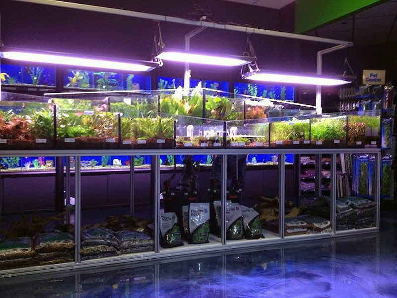 The Fish Crew - Photo 2