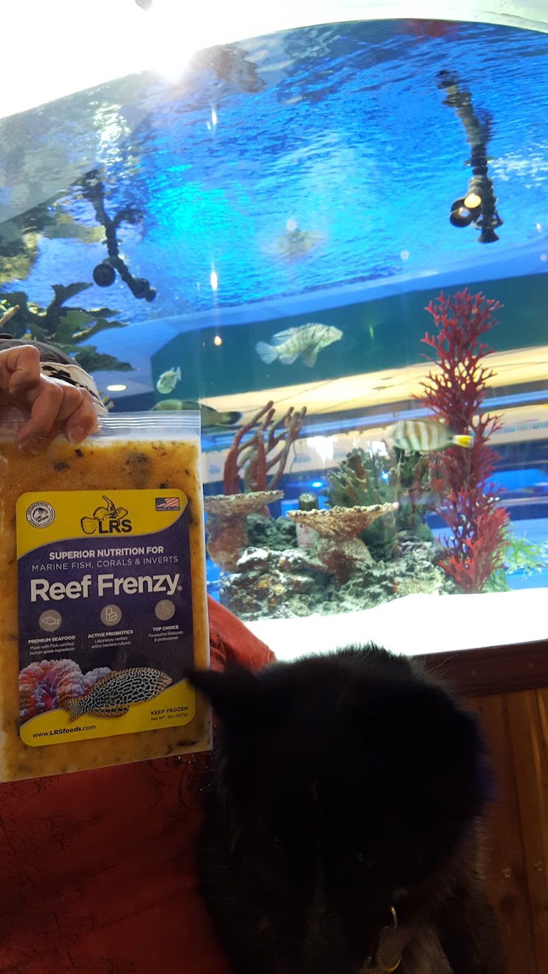 The Fish Crew - Photo 4