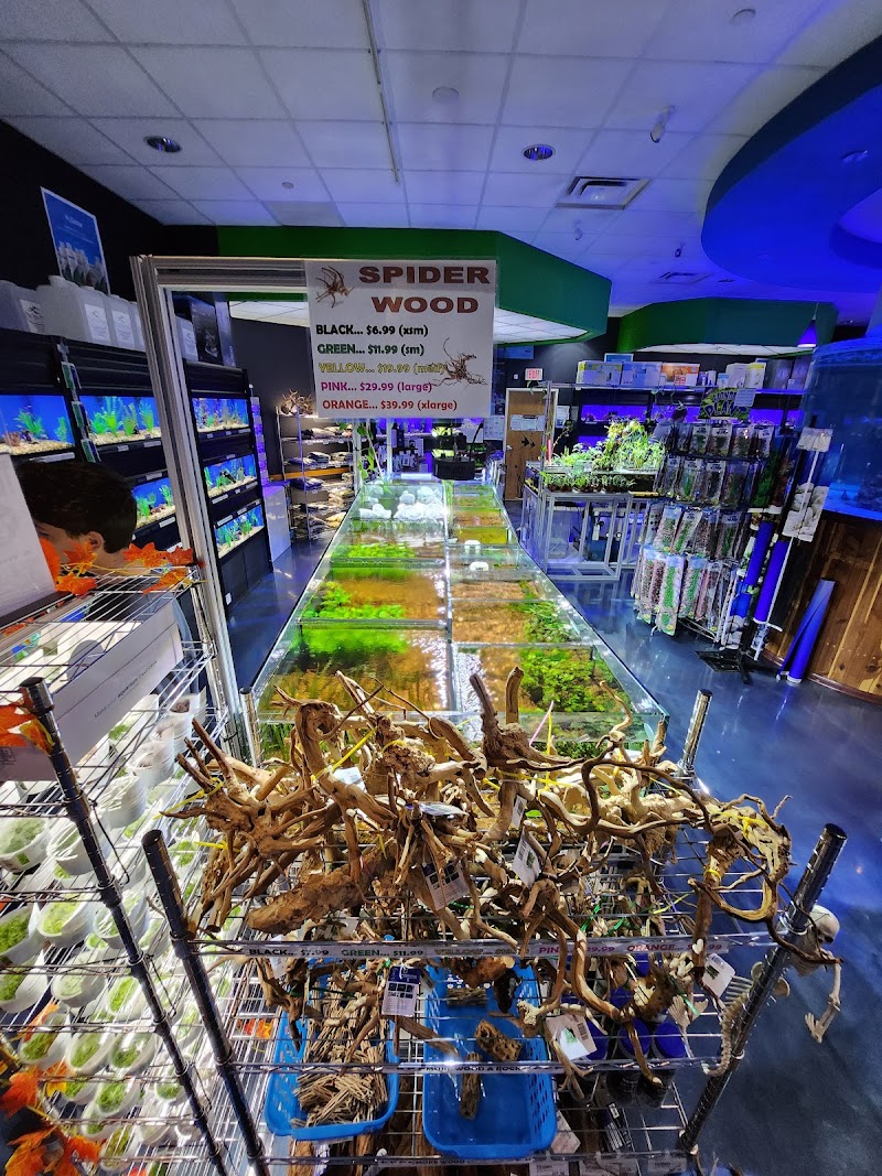 The Fish Crew - Photo 5