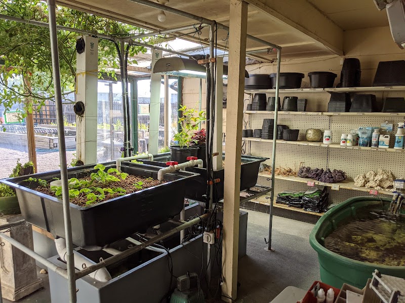 Alpine Koi and Reef - Photo 1