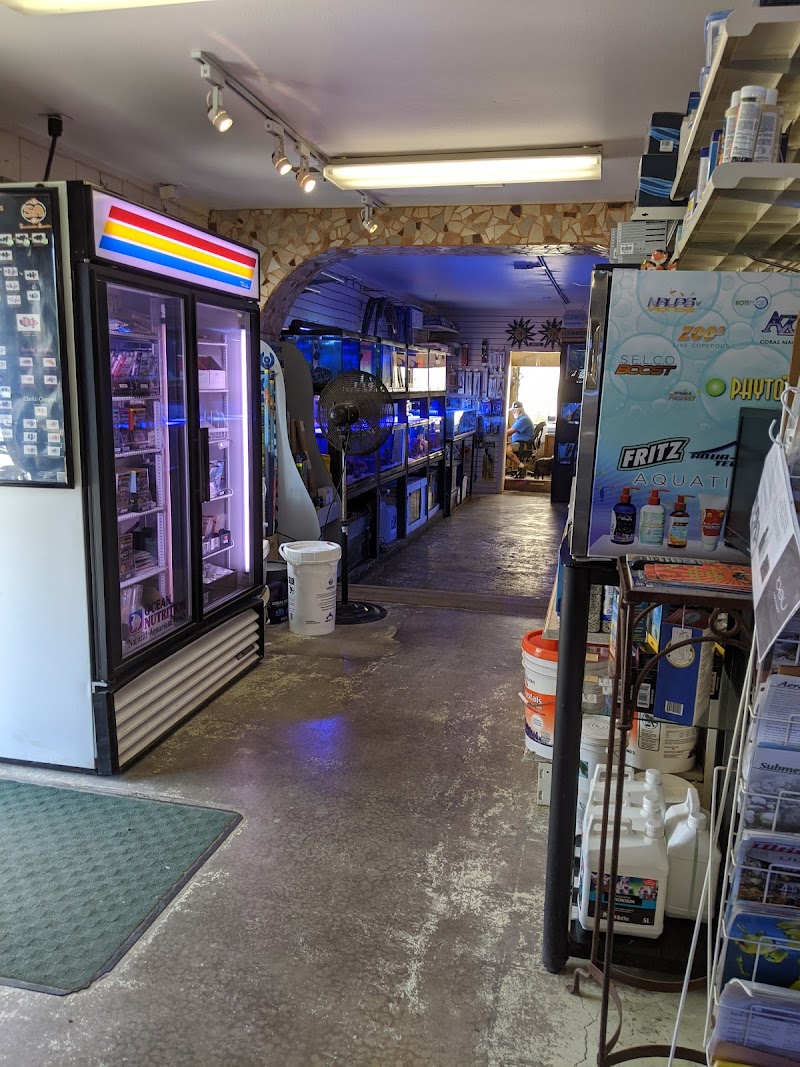 Alpine Koi and Reef - Photo 2