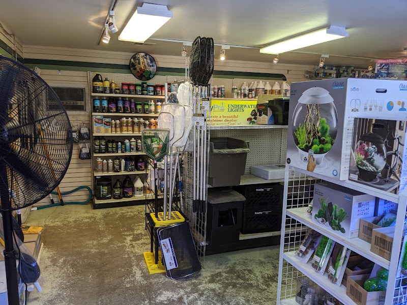 Alpine Koi and Reef - Photo 3