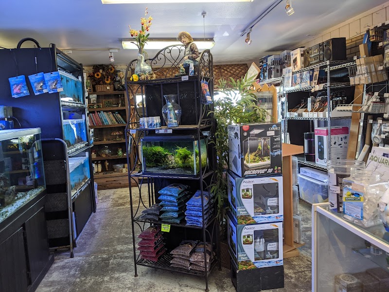 Alpine Koi and Reef - Photo 4