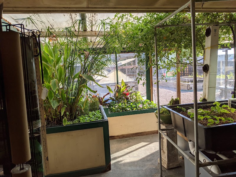 Alpine Koi and Reef - Photo 5