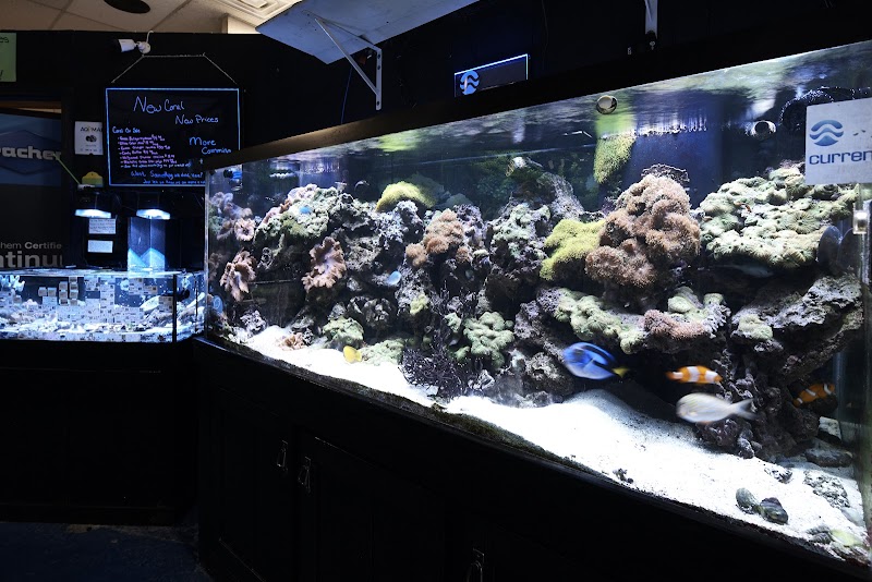 J & M Aquatics & Pet Center - Photo 4