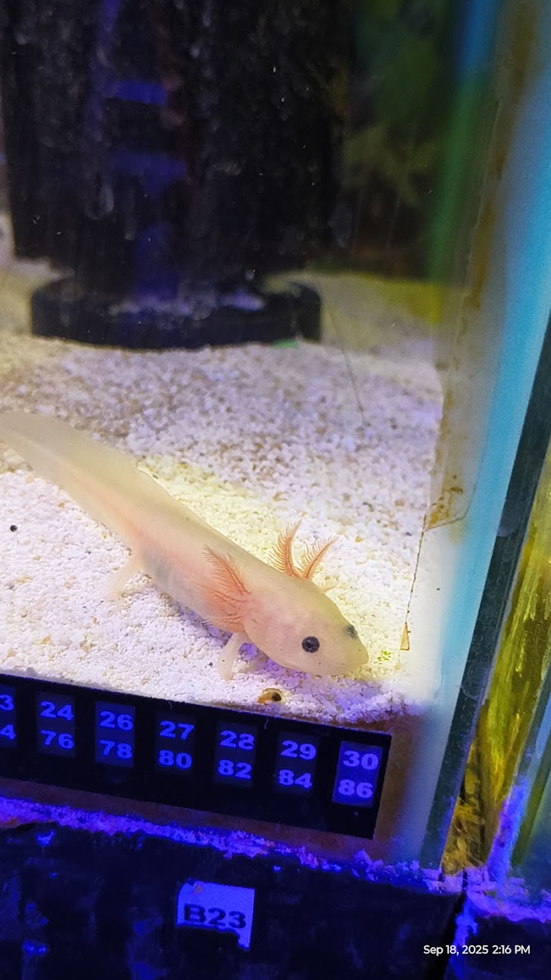 J & M Aquatics & Pet Center - Photo 5