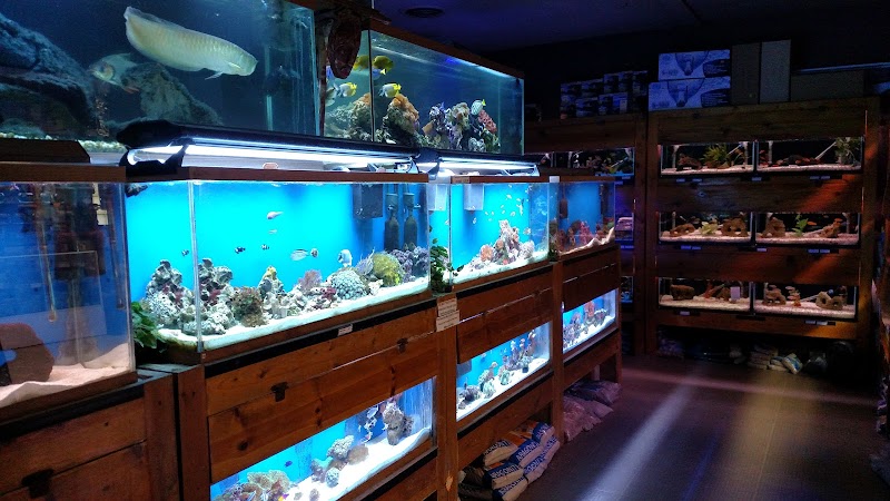 Animal Attraction - Photo 2