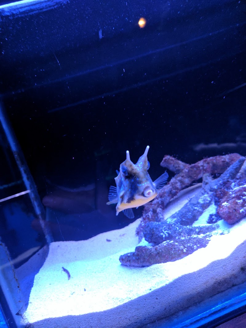 Animal Attraction - Photo 3