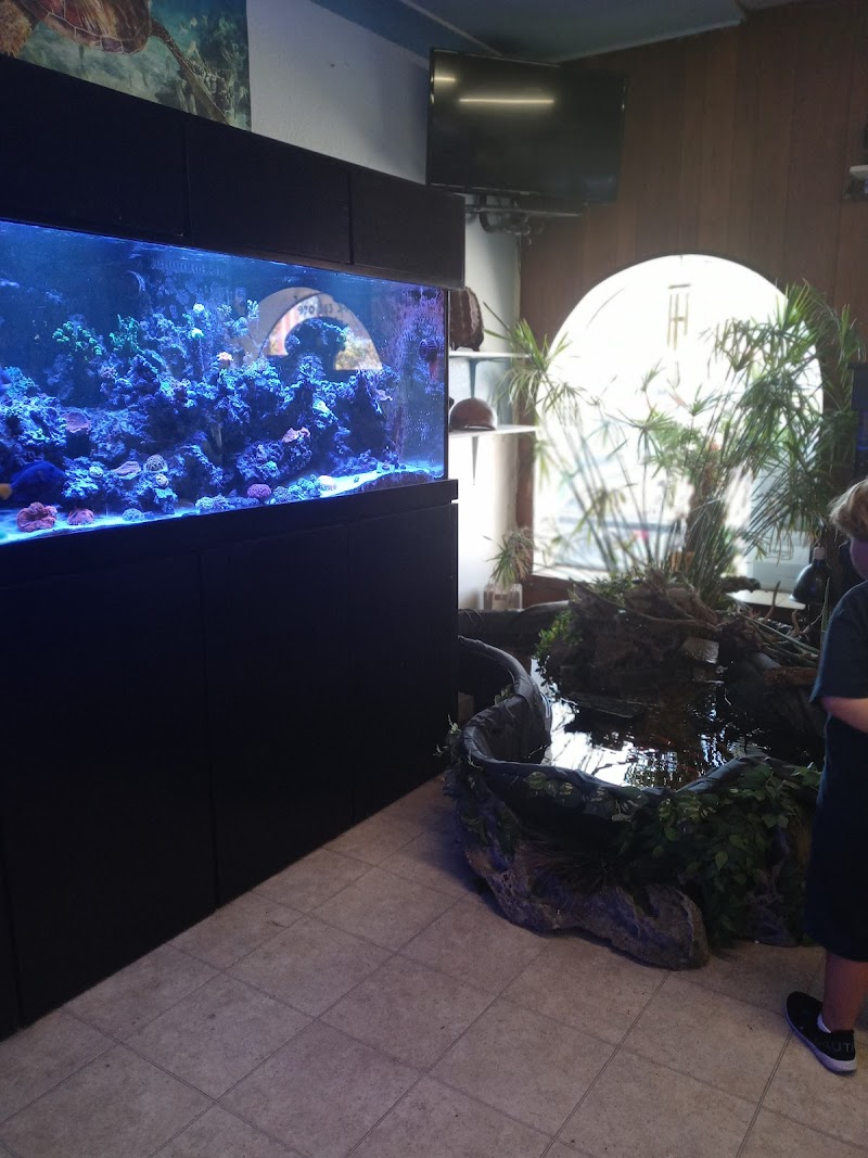 Animal Attraction - Photo 5