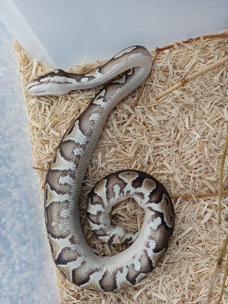 Nature Box Pet Emporium - Photo 3