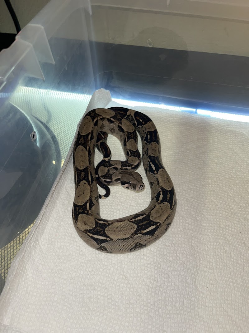 Beasties...A pet store and more!!! - Photo 3