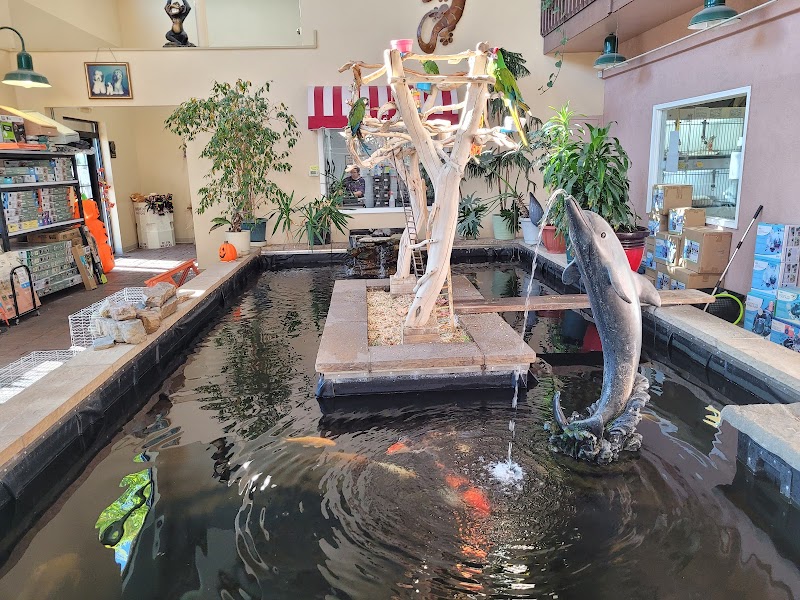 Pet Paradise - Photo 4