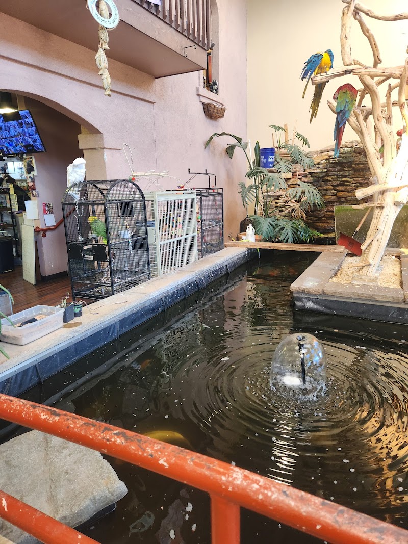 Pet Paradise - Photo 5