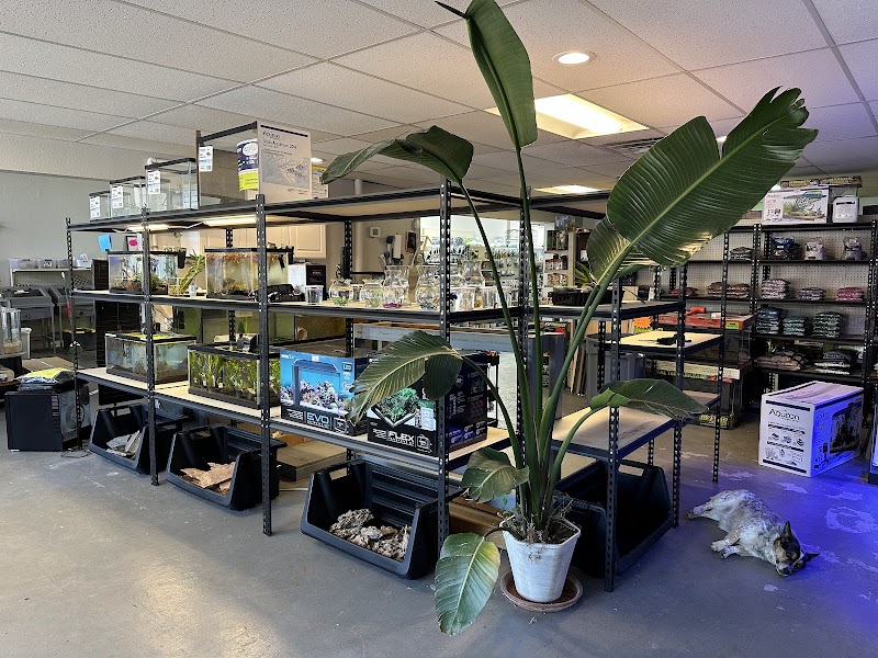 House of Exotics - Photo 3