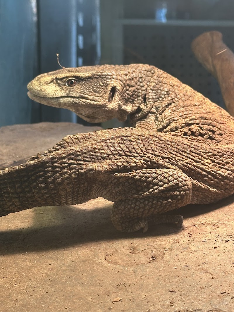 House of Exotics - Photo 5