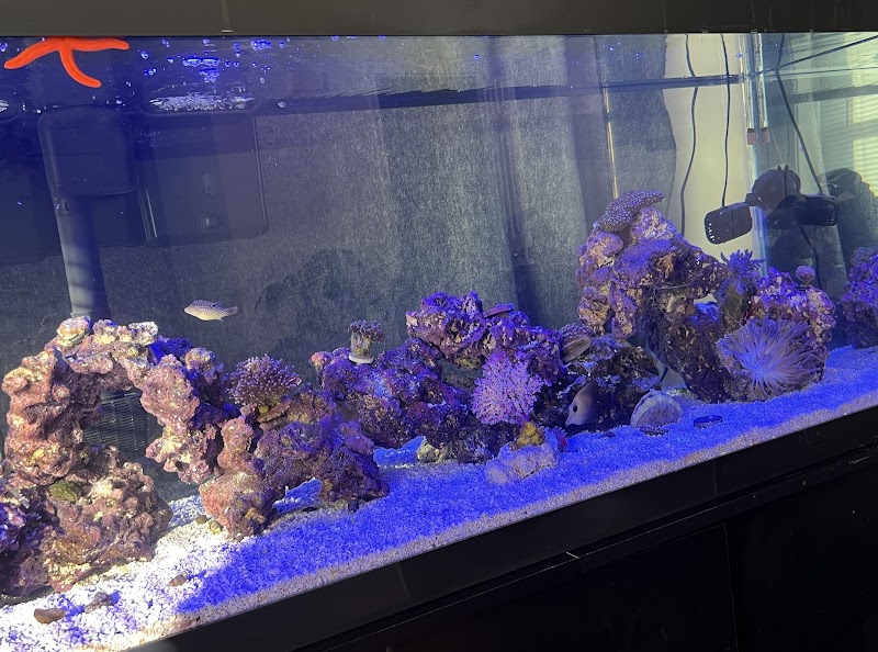 Max Reef Aquatics LLC - Photo 3