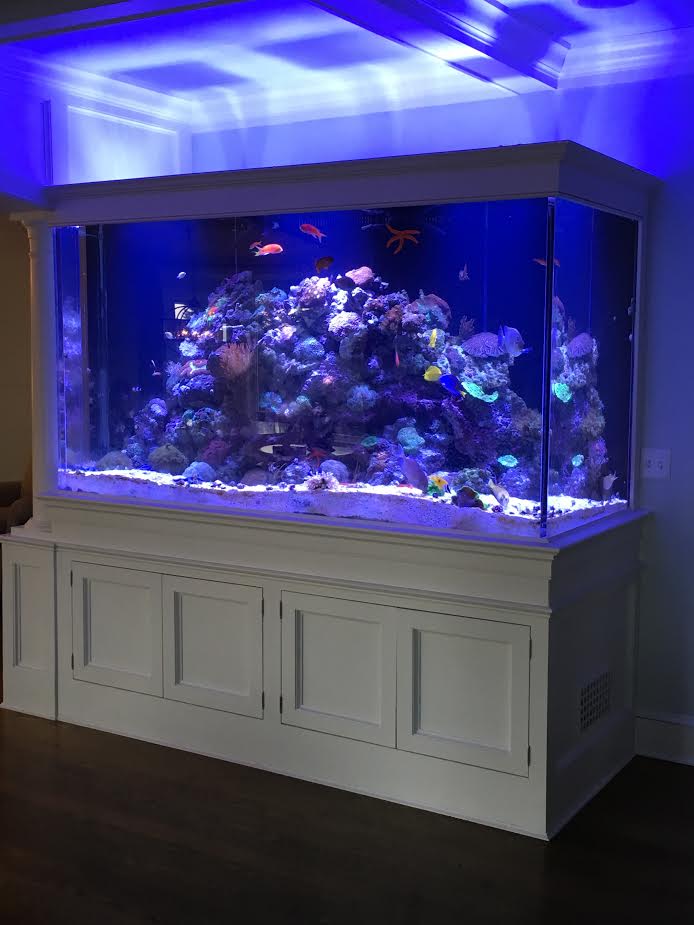Max Reef Aquatics LLC - Photo 4