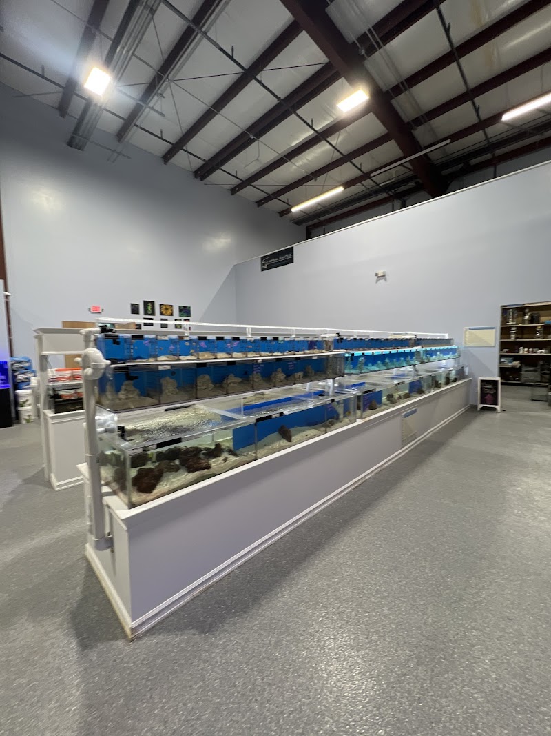 Max Reef Aquatics LLC - Photo 5