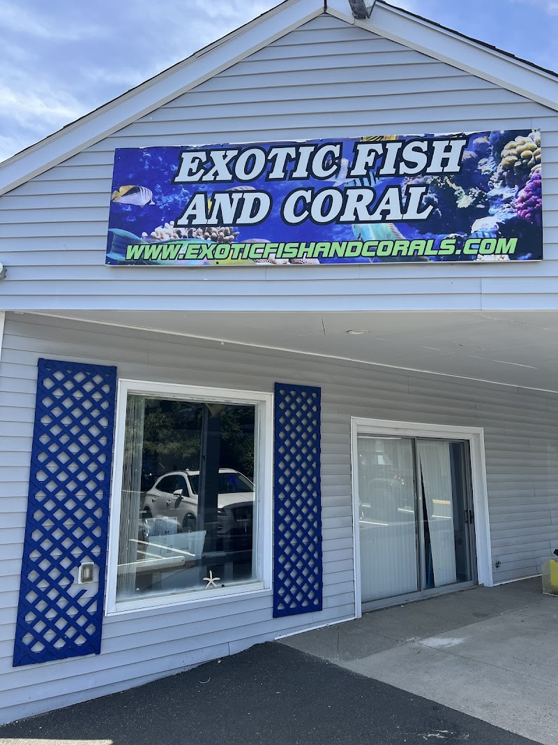 Exotic Fish & Corals - Photo 1
