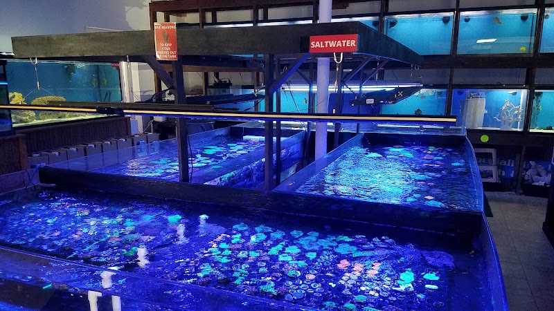 Exotic Fish & Corals - Photo 2