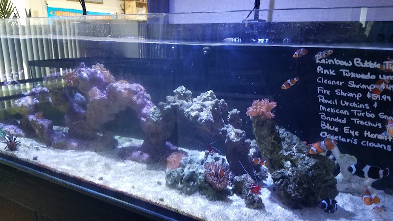 Exotic Fish & Corals - Photo 3