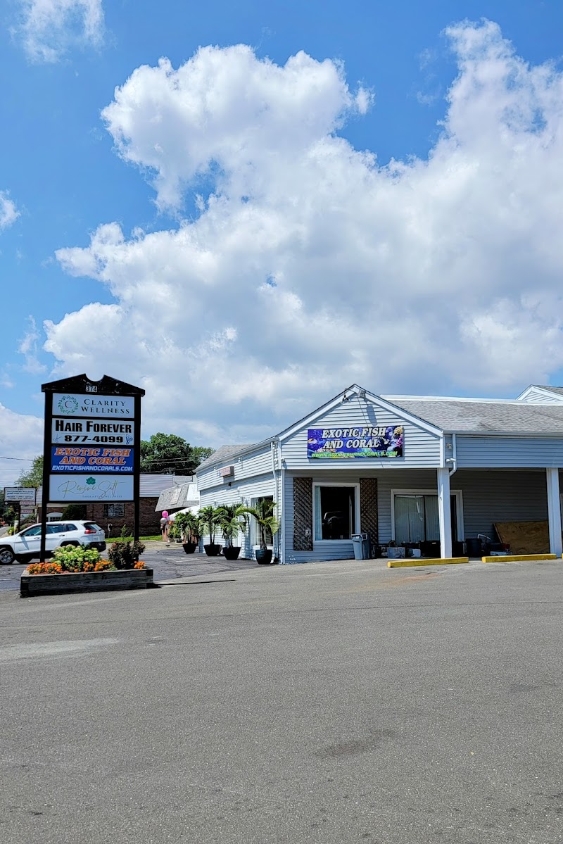 Exotic Fish & Corals - Photo 4