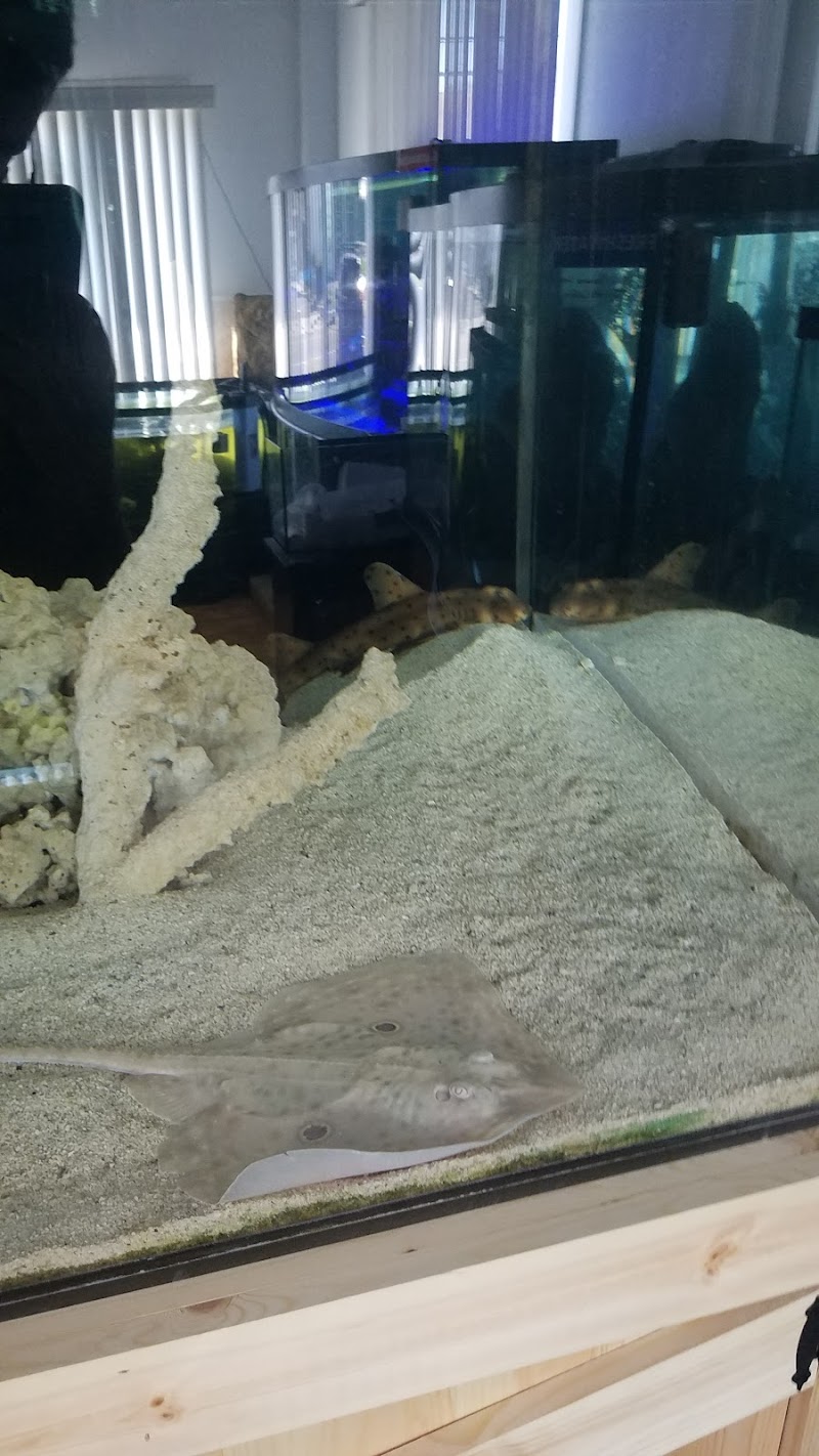 Exotic Fish & Corals - Photo 5