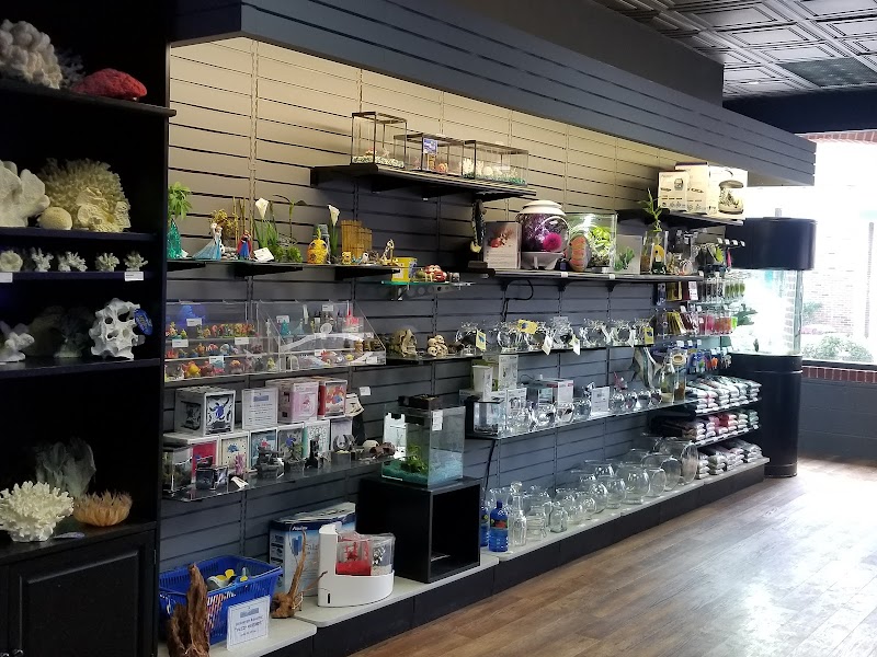 Life Aquatic - Photo 2