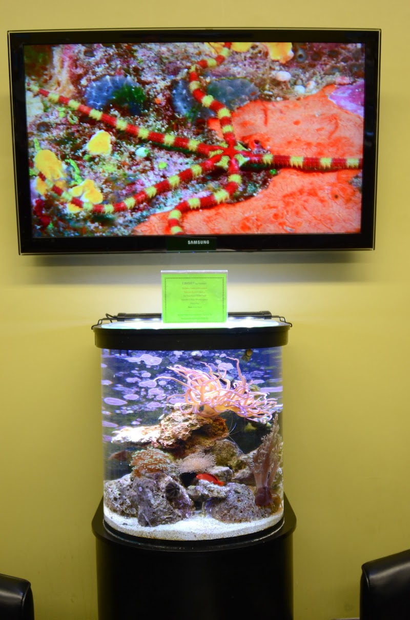 Life Aquatic - Photo 4