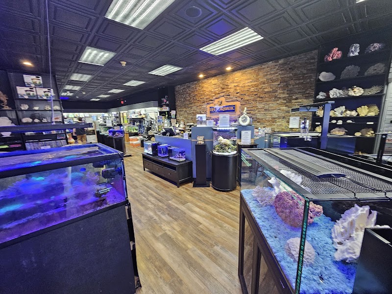 Life Aquatic - Photo 5