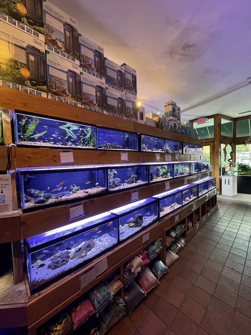 House of Fins - Photo 1