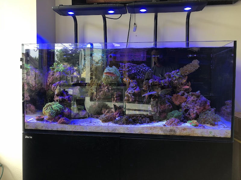 House of Fins - Photo 2