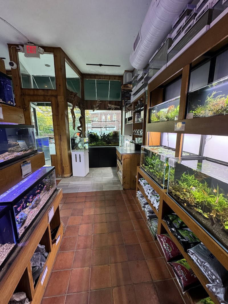 House of Fins - Photo 3