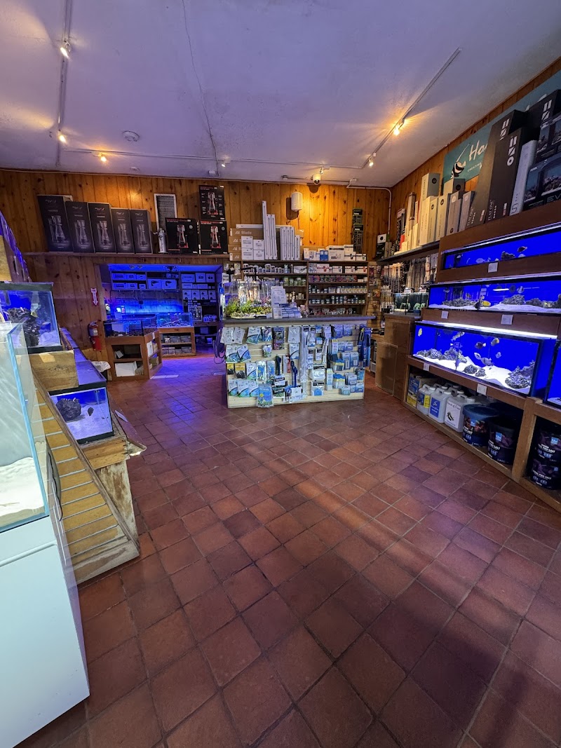 House of Fins - Photo 4