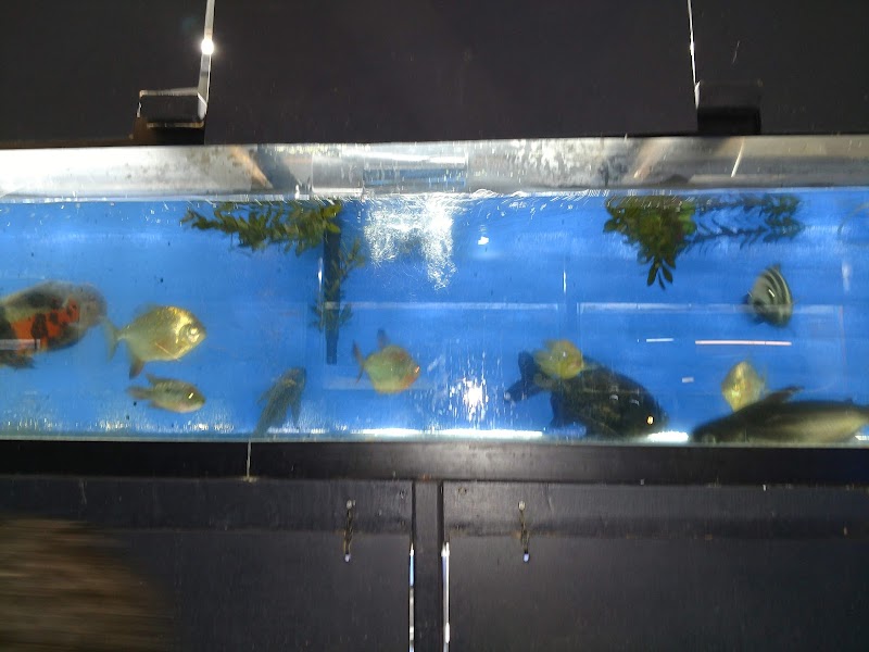 Blakes Aqua Den LLC - Photo 2