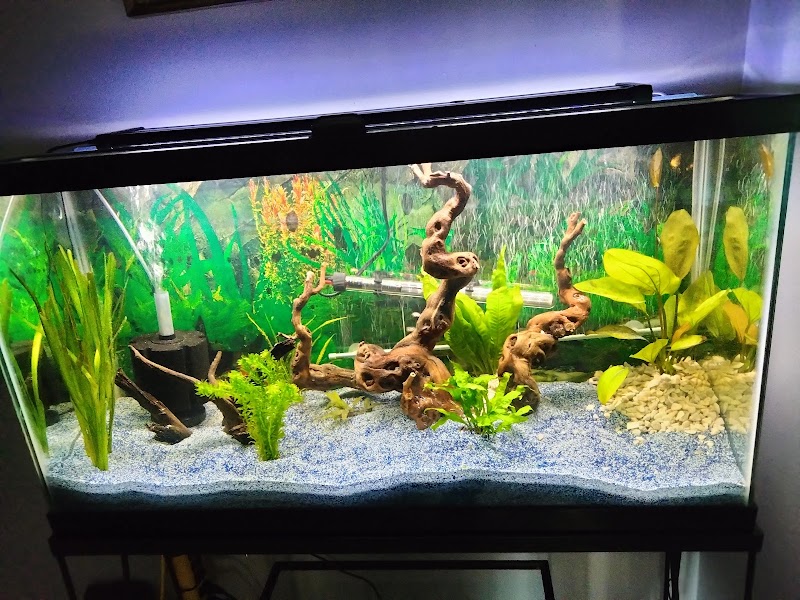 Blakes Aqua Den LLC - Photo 4