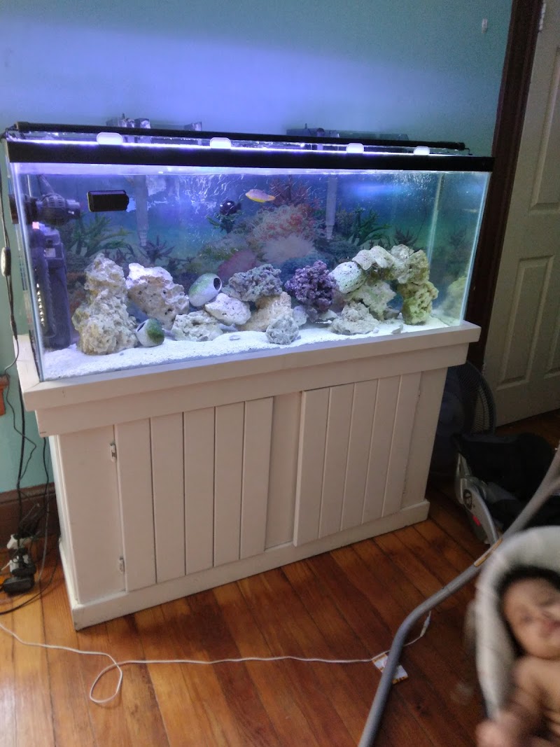 Blakes Aqua Den LLC - Photo 5