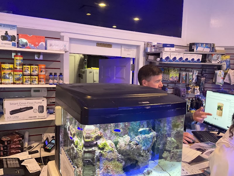 Complete Aquarium - Photo 2